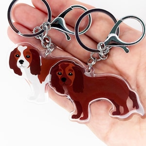 May include: Two dog-shaped keychains. One keychain features a brown and white Cavalier King Charles Spaniel design, and the other is a solid brown Cavalier King Charles Spaniel. Both keychains have silver-colored metal clasps and key rings.