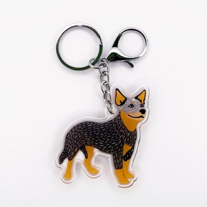 Australian Cattle Dog Keychain: Blue & Red Heeler Acrylic Charm image 6