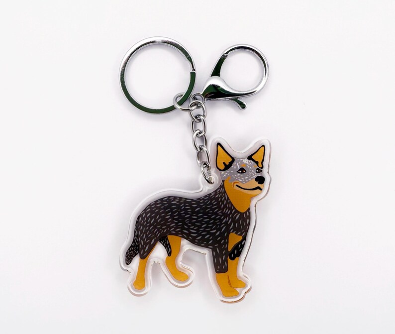 Australian Cattle Dog Keychain: Blue & Red Heeler Acrylic Charm image 6