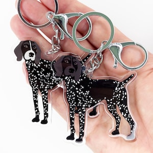 Porte-clés Gravé Braque Allemand – Plaque Chien Avec Anneau – Mister Petlife