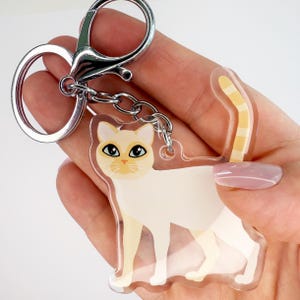 May include: A clear acrylic cat keychain with a silver metal clasp. The cat is white with tan markings, blue eyes, and a striped tail. The keychain is held in a hand.