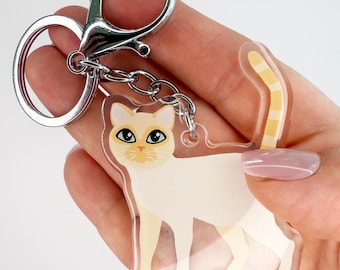May include: A clear acrylic cat keychain with a silver metal clasp. The cat is white with tan markings, blue eyes, and a striped tail. The keychain is held in a hand.
