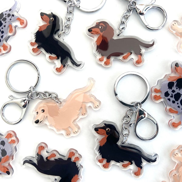 Long-haired Dachshund Keychain Cute Long-Haired Dachshunds Charm Clear Acrylic and Resin Silver Key Ring Dachshund Gifts