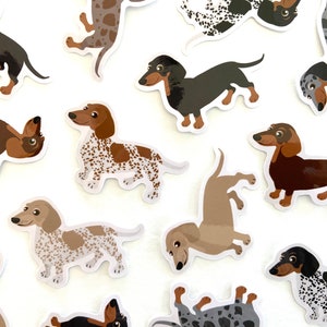 Cute Dachshund Sticker Waterproof Vinyl Sticker Dachshunds Stickers