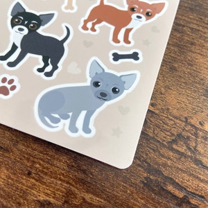 Pu&ograve; includere: Un set di quattro adesivi di cani chihuahua. Gli adesivi sono stampati su sfondo bianco con un bordo marrone. I cani sono tutti di colori diversi: nero, marrone, grigio e bianco. Gli adesivi sono perfetti per aggiungere un tocco di personalit&agrave; al tuo laptop, alla tua borraccia o al tuo planner.