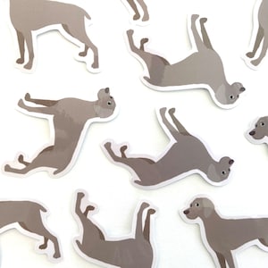 Weimaraner Sticker Waterproof Vinyl Stickers Weimaraners Gray Ghost Dog