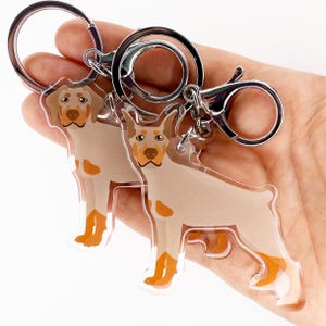May include: Two clear acrylic keyrings featuring a Doberman Pinscher dog design. The dogs are tan and white with orange markings and are attached to silver key rings.