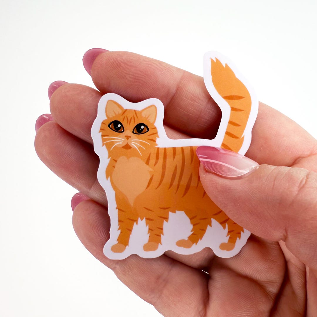 Orange Tabby Cat Sticker: Longhaired Ginger Cat, Waterproof Vinyl - Etsy
