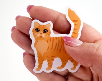 Orange Tabby Cat Sticker: Longhaired Ginger Cat, Waterproof Vinyl