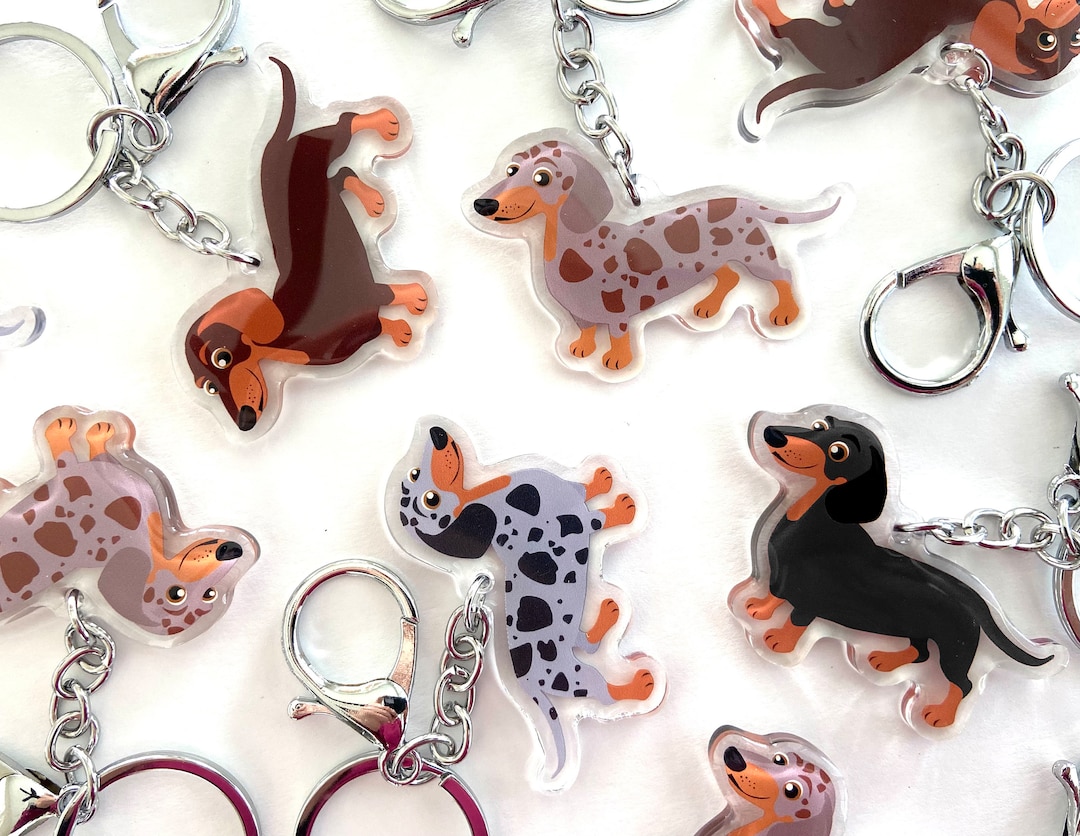Dachshund Keychain Cute Dachshunds Charm Clear Acrylic and Resin Silver ...