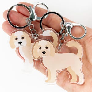 May include: Two clear acrylic keyrings featuring a light beige dog illustration with brown eyes and a fluffy tail. Each keyring has a silver metal clasp and a split ring. The dog illustration is a cartoon style.
