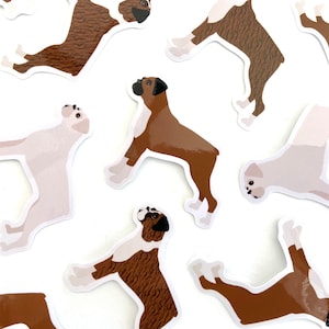 Sticker chien boxer Sticker vinyle découpé imperméable boxer Stickers boxer