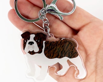 Brindle English Bulldog Keychain, Clear Acrylic Dog Charm