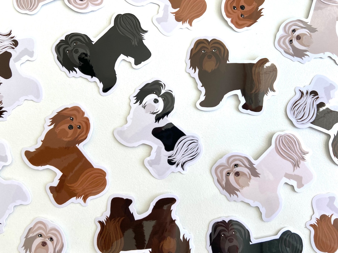 Havapoo Sticker Havanese Dog Sticker: Waterproof Vinyl Die Cut Decal - Etsy
