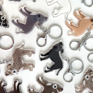 Pitbull Keychain - Etsy