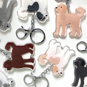 Doodle porte-clés breloque mignon en plastique transparent et résine argentée Porte-clés Goldendoodle Labradoodle Doodles cadeaux