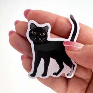 Black Cat Sticker Die Cut Waterproof Vinyl Stickers Black Cats Green and Orange Eyes