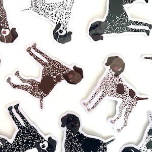 May include: A set of nine stickers featuring different colored German Shorthaired Pointers. The stickers are all in a cartoon style and feature the dogs in various poses. The stickers are perfect for adding a touch of personality to laptops, water bottles, or other items.