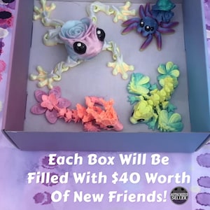 May include: A box filled with four colorful, 3D printed figurines. The figurines are a frog, a spider, a seahorse, and a dragon. The box is light blue and has the text "Each Box Will Be Filled With $40 Worth Of New Friends!" printed on the front.