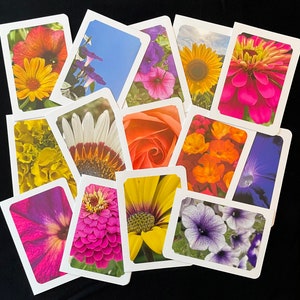 6 cartes de correspondance florales assorties avec enveloppes - 5 x 7