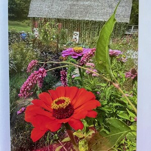 Kiss Me Over the Gate Flower and Barn. Blank 5x7 Note Card with Envelope