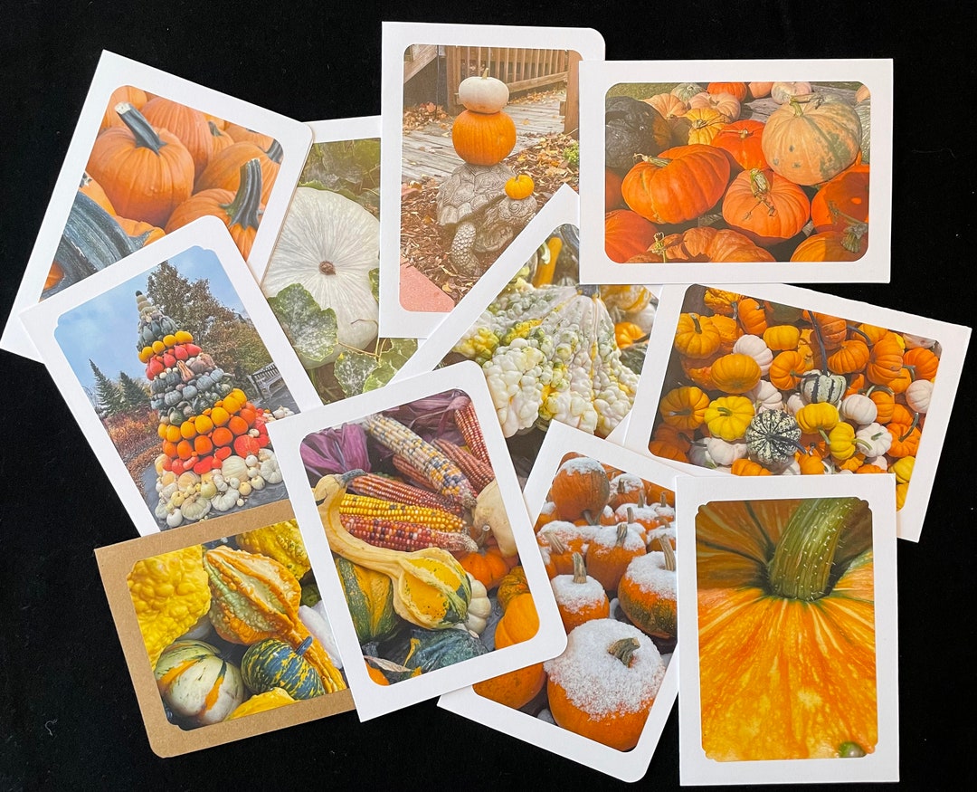 6 Assorted Pumpkin Note Cards With Envelopes - 5x7 - Etsy