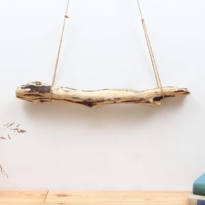 53 cm driftwood branch for wardrobe, macrame, wall hanging | Buy driftwood