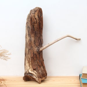 43 cm driftwood sculpture for garden and living room | Buy driftwood