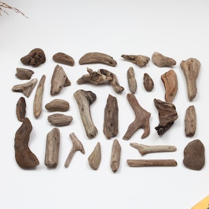 Könnte beinhalten: Eine Sammlung von Treibholzstücken in verschiedenen Formen und Größen, von klein und zart bis groß und massiver. Das Treibholz ist in natürlicher brauner Farbe und hat eine raue, verwitterte Textur.