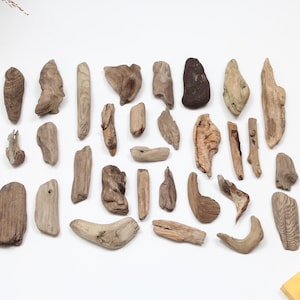 May include: A collection of driftwood pieces in various shapes and sizes, ranging from small and delicate to larger and more substantial. The driftwood is a natural brown color and has a weathered, rustic appearance.