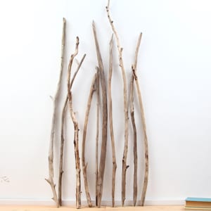 Könnte beinhalten: Eine Sammlung von Treibholzstücken unterschiedlicher Länge und Dicke, die an einer weißen Wand lehnen. Die Holztöne reichen von hellem Beige bis zu dunklerem Braun, mit sichtbaren Texturen und Knoten. Die Anordnung deutet auf eine natürliche, rustikale Ästhetik hin.