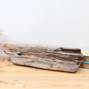 57 cm driftwood sculpture for garden and living room | Buy driftwood