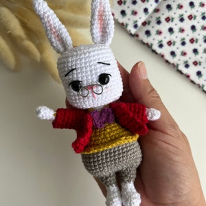 May include: A handmade white crochet rabbit doll with long ears, wearing a red jacket, yellow vest, gray pants, and a purple bow tie. The rabbit has black eyes, a small silver nose ring, and tiny wire-rimmed glasses. The doll is held in a hand.