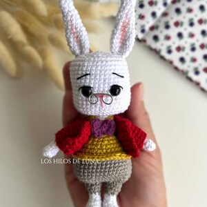 Puede incluir: Mu&ntilde;eca de conejo blanco hecha a mano con ganchillo, con orejas largas, que lleva una chaqueta roja, un su&eacute;ter amarillo, pantalones grises y una pajarita morada. El conejo tiene ojos negros, gafas de montura met&aacute;lica y sostiene un objeto peque&ntilde;o. El texto "LOS HILOS DE LUNA" es visible.