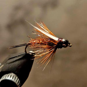 May include: A brown and black fly fishing lure with a white feather and a silver hook.