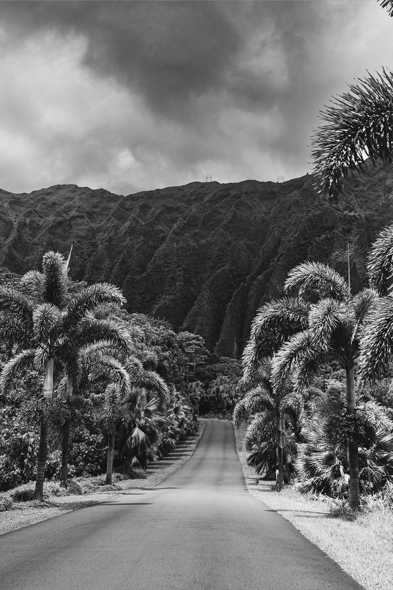 Oahu Hawaii Black and White Photo Prints, Beach Palm Tree Set (frames ...