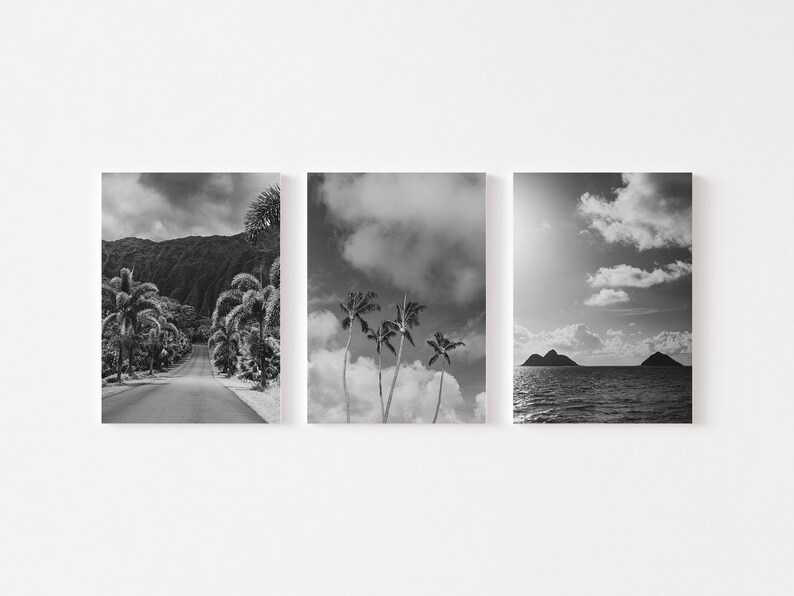 Oahu Hawaii Black and White Photo Prints, Beach Palm Tree Set (frames ...
