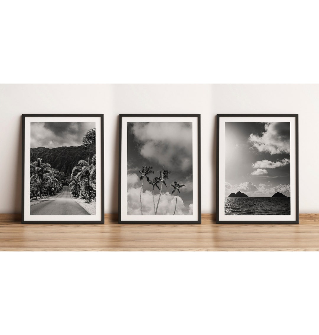 Oahu Hawaii Black and White Photo Prints, Beach Palm Tree Set (frames ...
