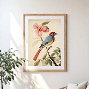 Vintage Bird Nursery Art, Girls Room Wall Decor, Colorful Country Farmhouse Print, Digital PRINTABLE