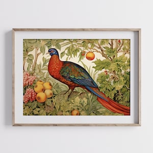 PRINTABLE Farmhouse Wall Decor, Colorful Pheasant Vintage Art Print, Kitchen Wall Decor, Bird Painting, Instant Download Digital
