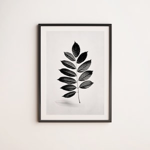 PRINTABLE Minimalist Ash Tree Leaf Printable Poster - Black and White Art