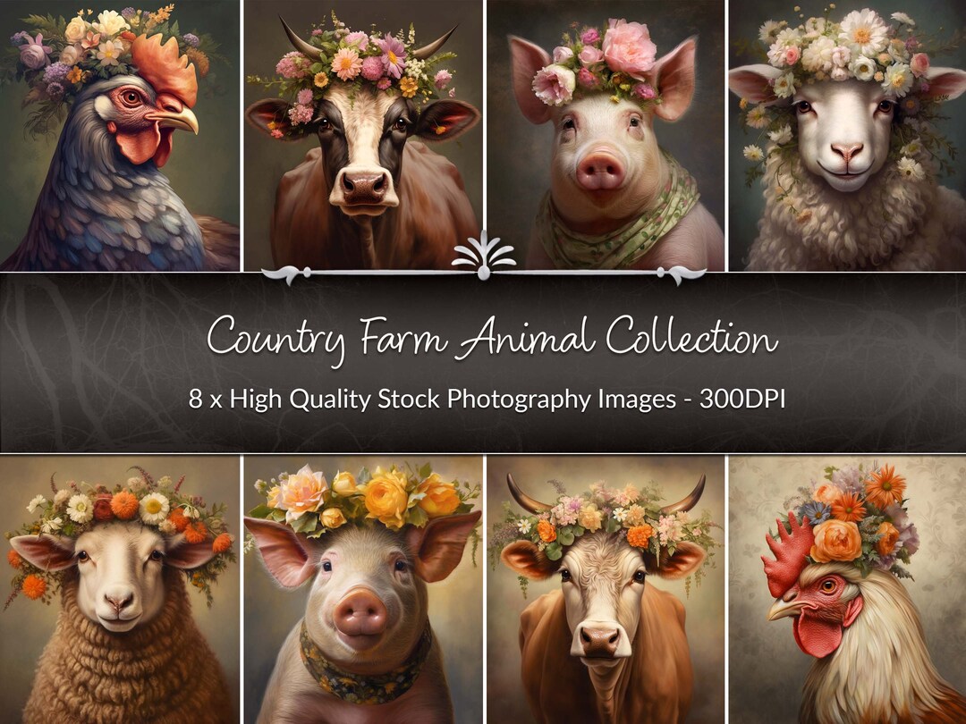 Country Farm Animal Farmhouse Print Sets Rustic Wall Décor Set Kitchen ...