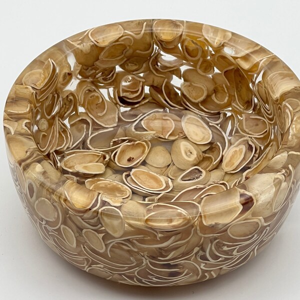 Clear Resin and Pistachio Shell Bowl