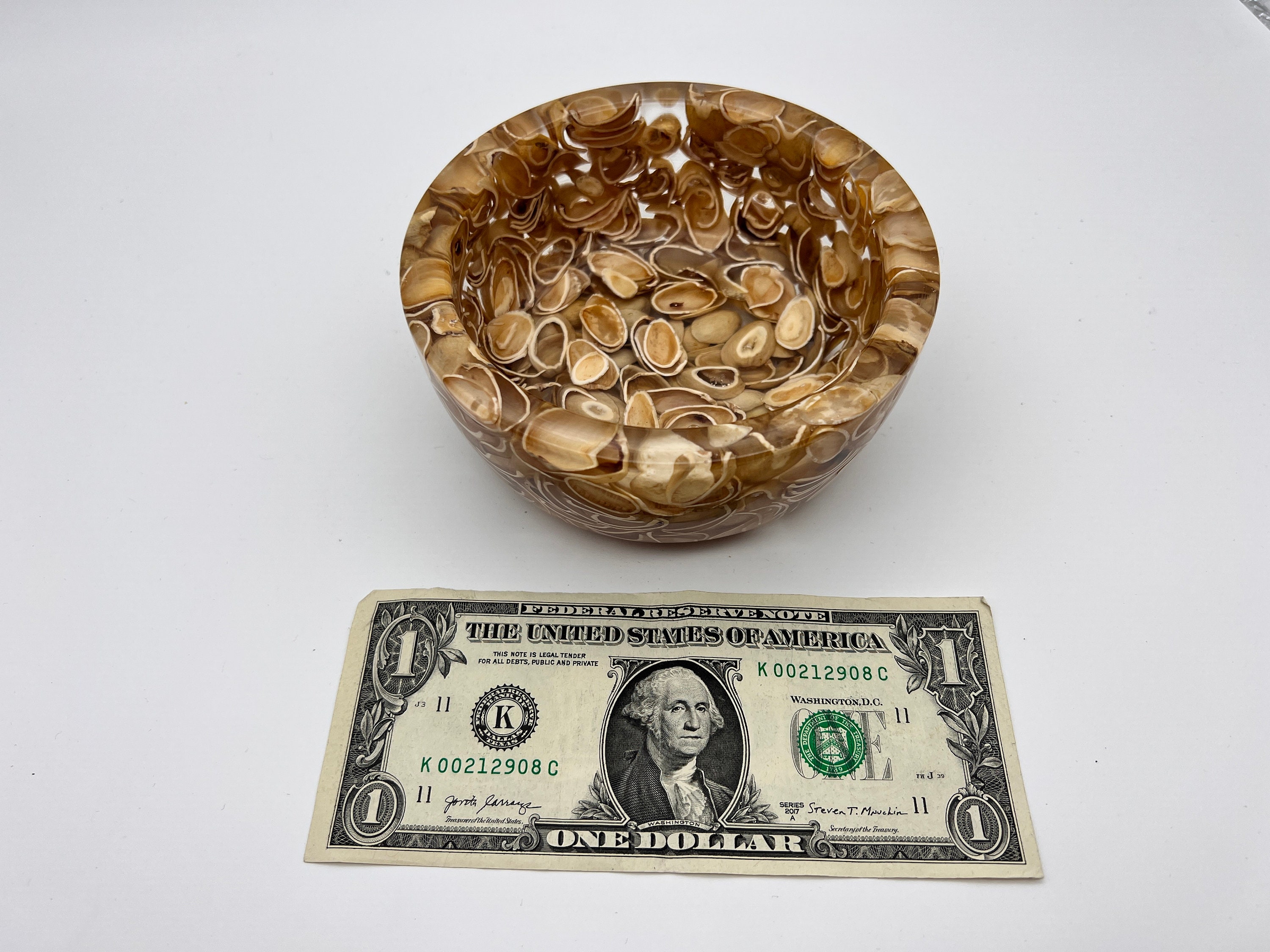 Clear Resin and Pistachio Shell Bowl Etsy