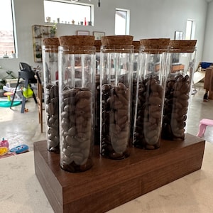 Walnut Caddy 20g Almacenamiento de granos de café / Tubo / Vial / Bóveda de dosificación única