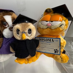 Garfield Plush Graduation - Etsy