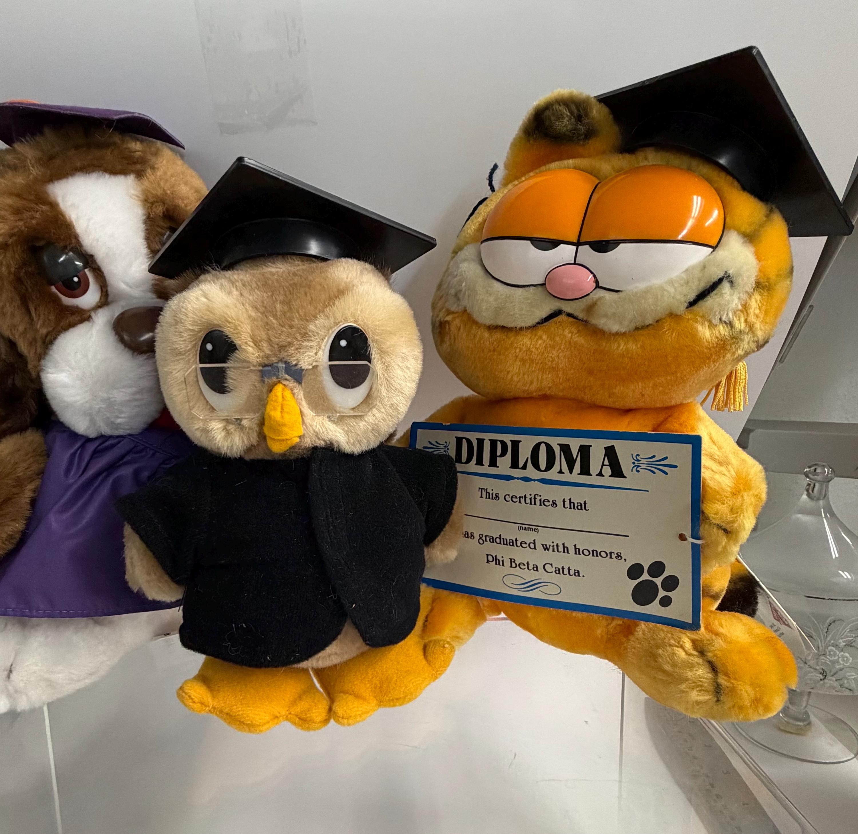 Garfield Plush Graduation - Etsy