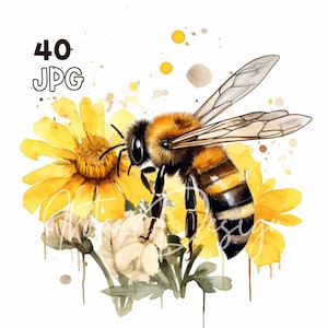 Bee on a Flower Clipart - 40 High Quality JPGs - Digital Planner, Junk Journaling, Watercolor, Wall Art, Commercial Use, Digital Download