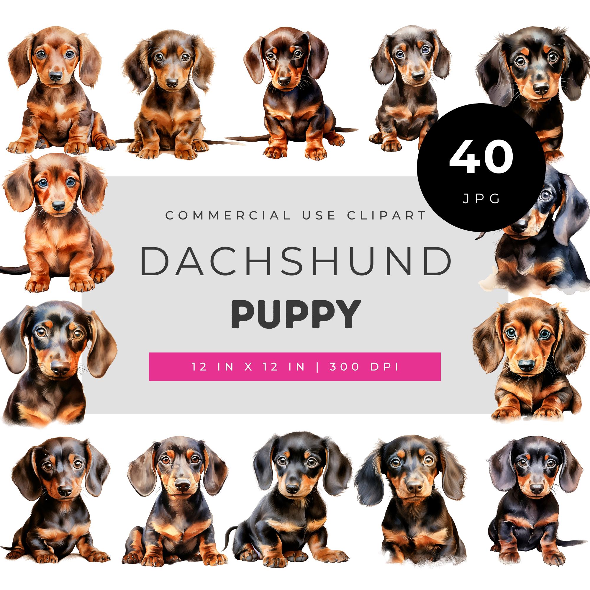 ダックスフントの子犬の水彩画クリップアート、リアルなダックスフント