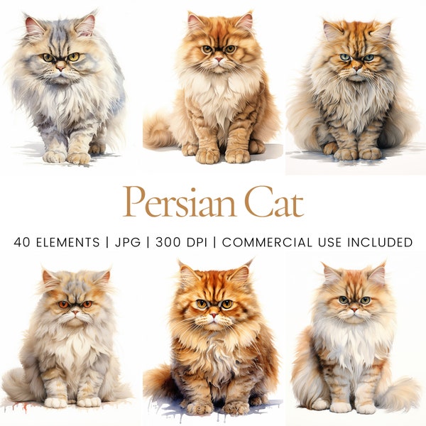 Persian Cat Clipart - 40 High Quality JPGs - Digital Planner, Junk Journaling, Watercolor, Commercial Use, Digital Download, Mugs, Apparel